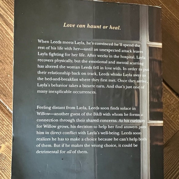 Colleen Hoover Layla book - Picture 2 of 2